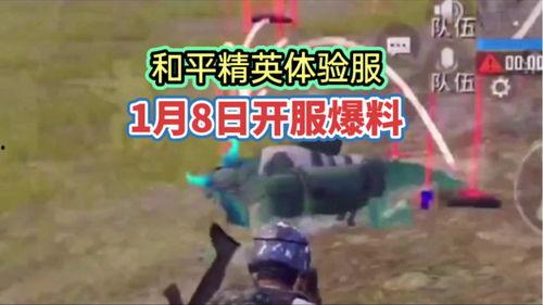 11月和平精英爆料最新,神秘新内容即将揭晓，敬请期待！